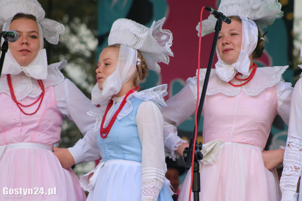 IX Festiwal Tradycji i Folkloru w Domachowie