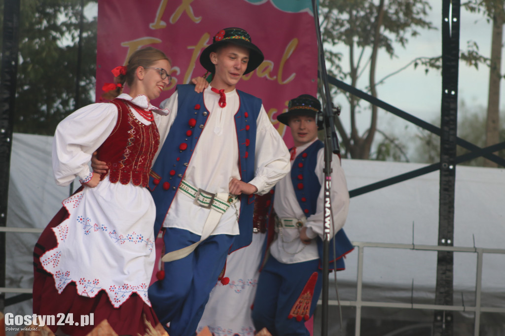 IX Festiwal Tradycji i Folkloru w Domachowie
