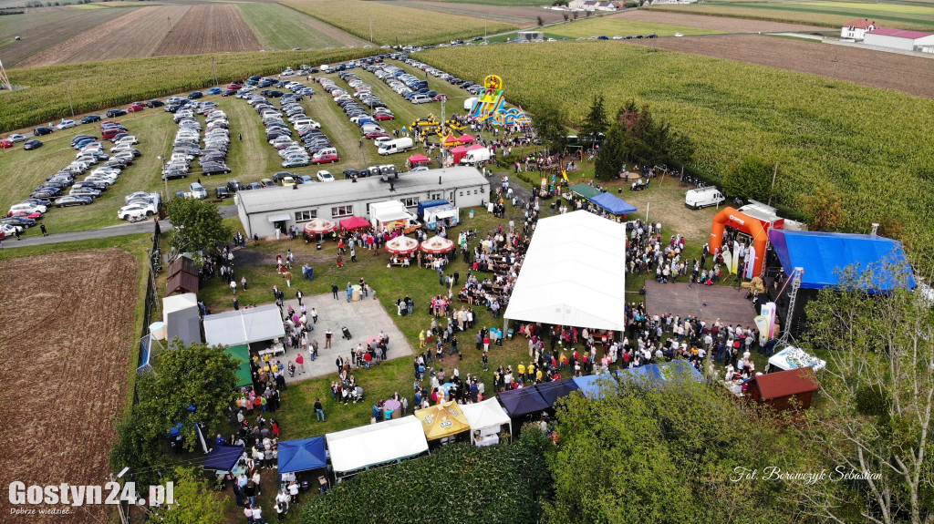 IX Festiwal Tradycji i Folkloru w Domachowie