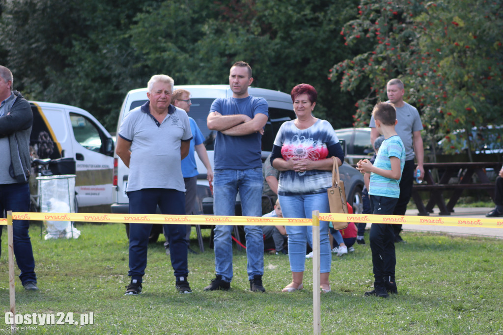 Wystawa owczarka staroniemieckiego w Karcu