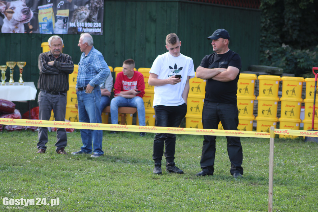 Wystawa owczarka staroniemieckiego w Karcu