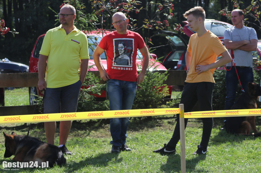 Wystawa owczarka staroniemieckiego w Karcu