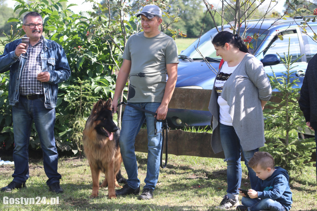 Wystawa owczarka staroniemieckiego w Karcu