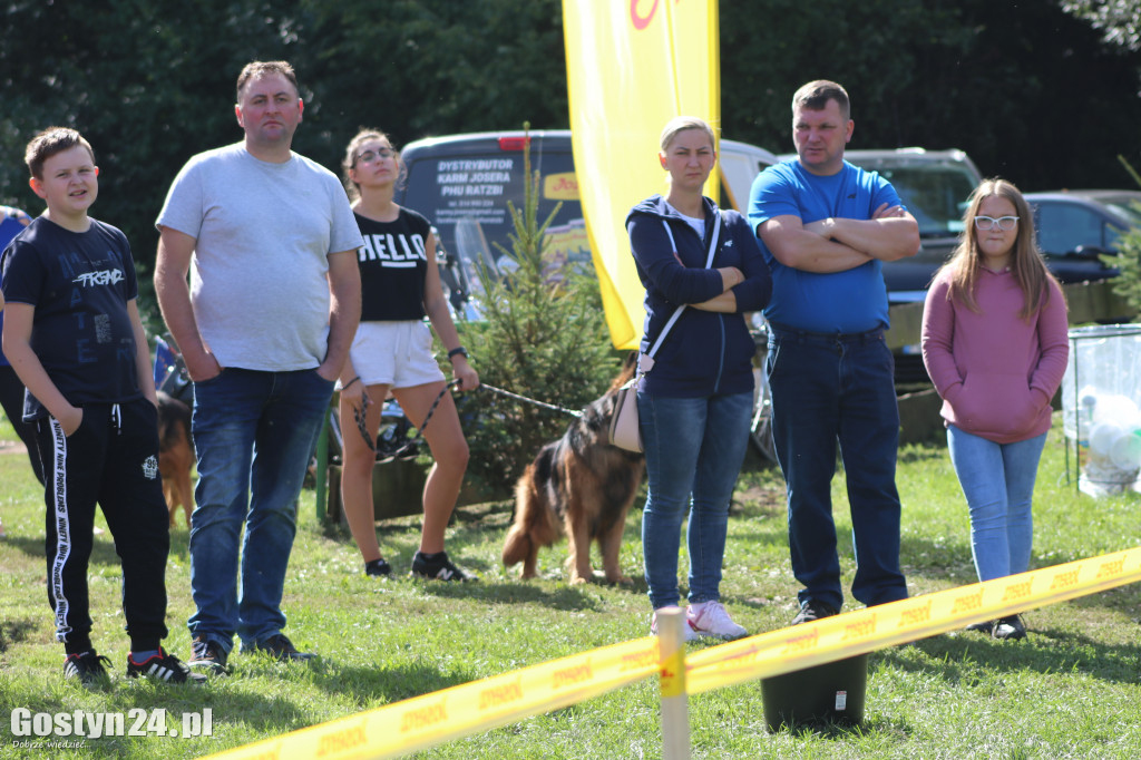 Wystawa owczarka staroniemieckiego w Karcu