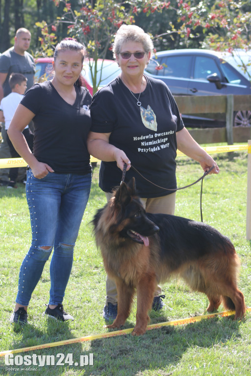 Wystawa owczarka staroniemieckiego w Karcu