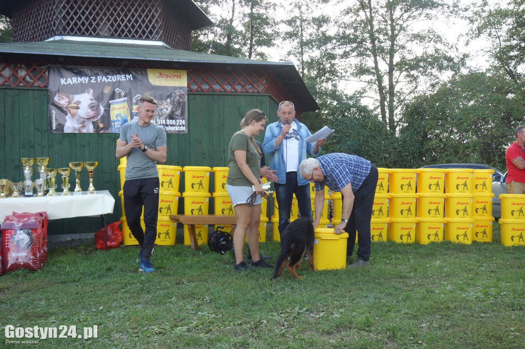 Wystawa owczarka staroniemieckiego w Karcu