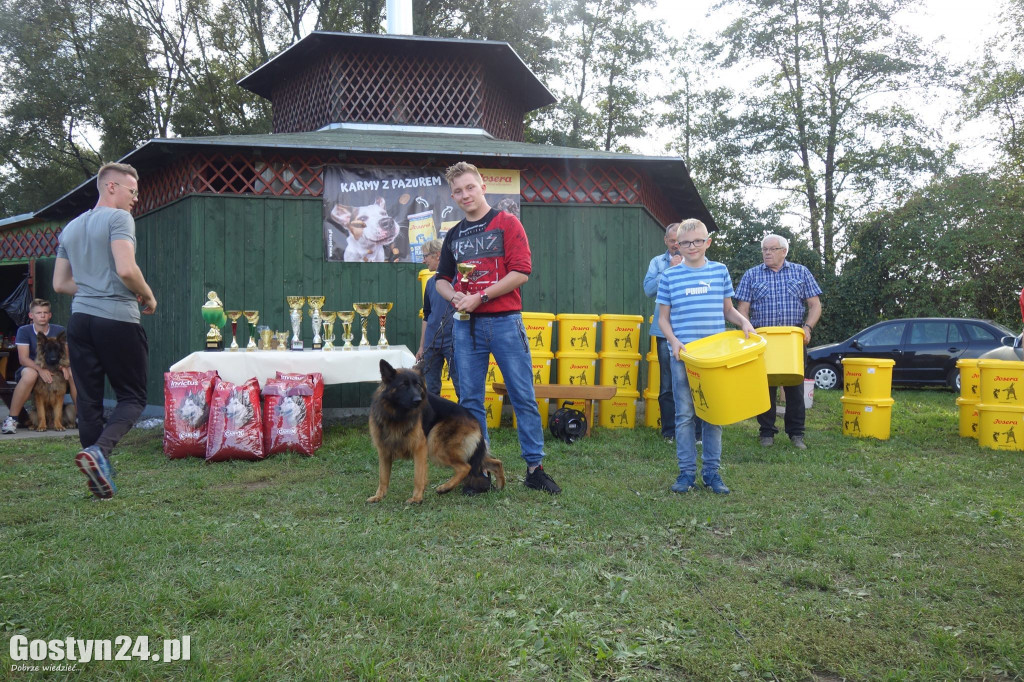 Wystawa owczarka staroniemieckiego w Karcu