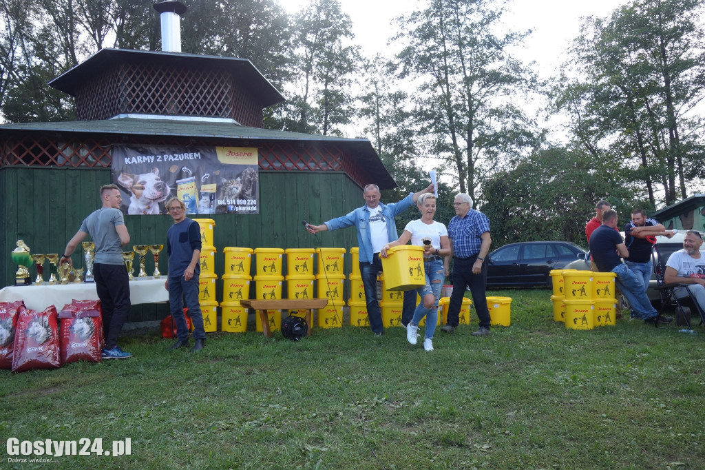 Wystawa owczarka staroniemieckiego w Karcu