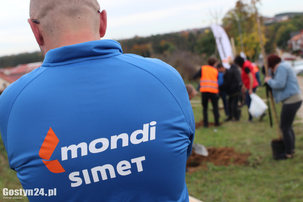 Sadzenie drzewek na 50 lat Mondi Simet