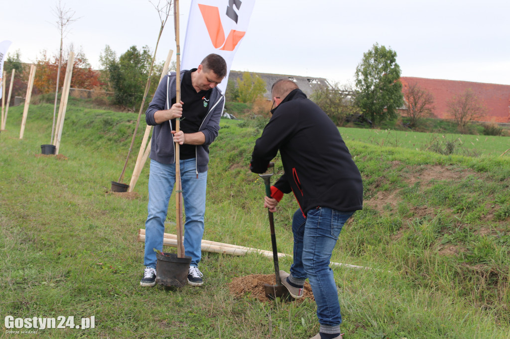 Sadzenie drzewek na 50 lat Mondi Simet