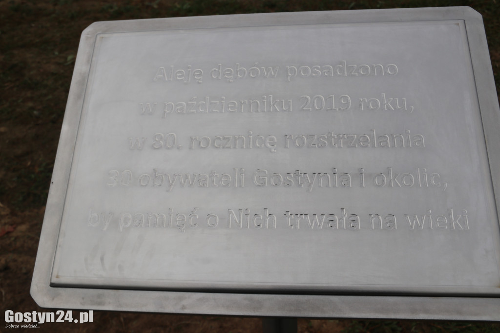 Sadzenie alei dębowej przy ścieżce do Kunowa