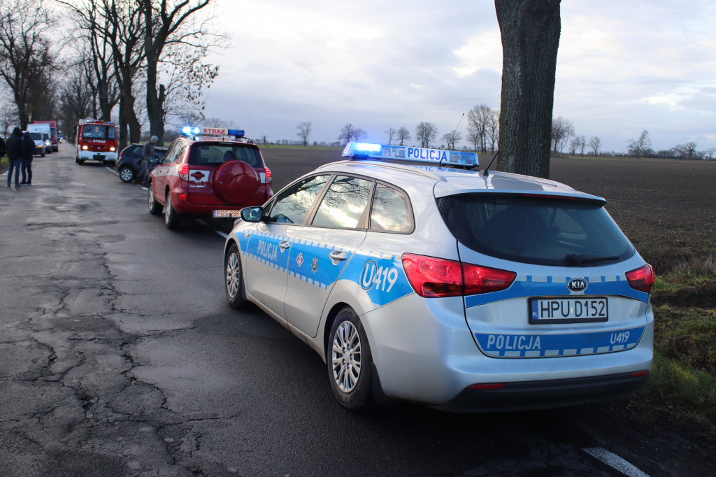 Auto uderzyło w drzewo na trasie Pępowo-Siedlec