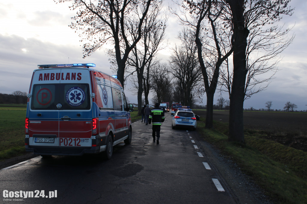 Auto uderzyło w drzewo na trasie Pępowo-Siedlec