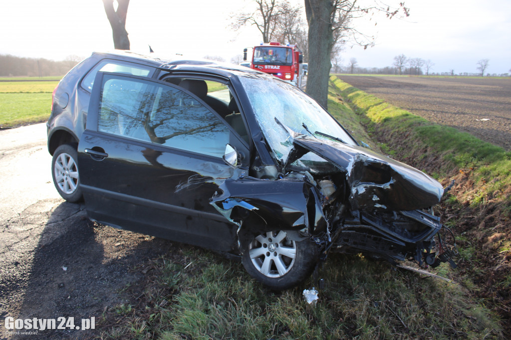 Auto uderzyło w drzewo na trasie Pępowo-Siedlec