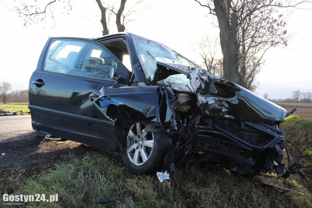 Auto uderzyło w drzewo na trasie Pępowo-Siedlec