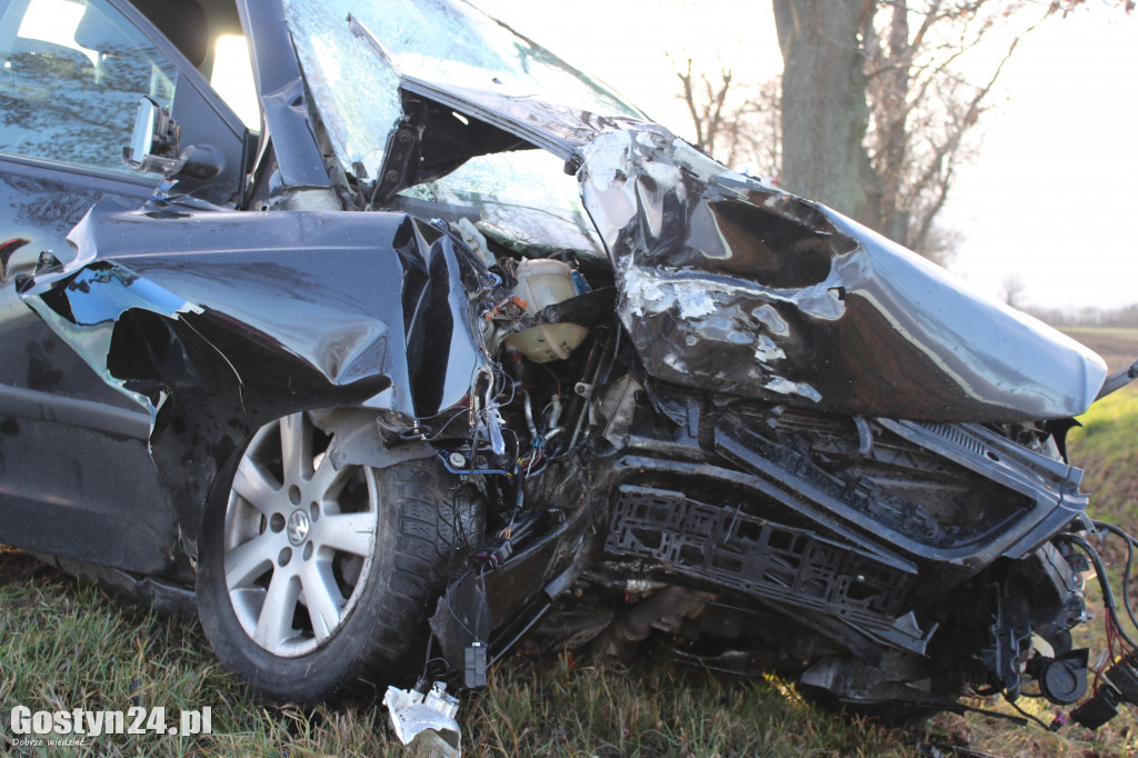 Auto uderzyło w drzewo na trasie Pępowo-Siedlec