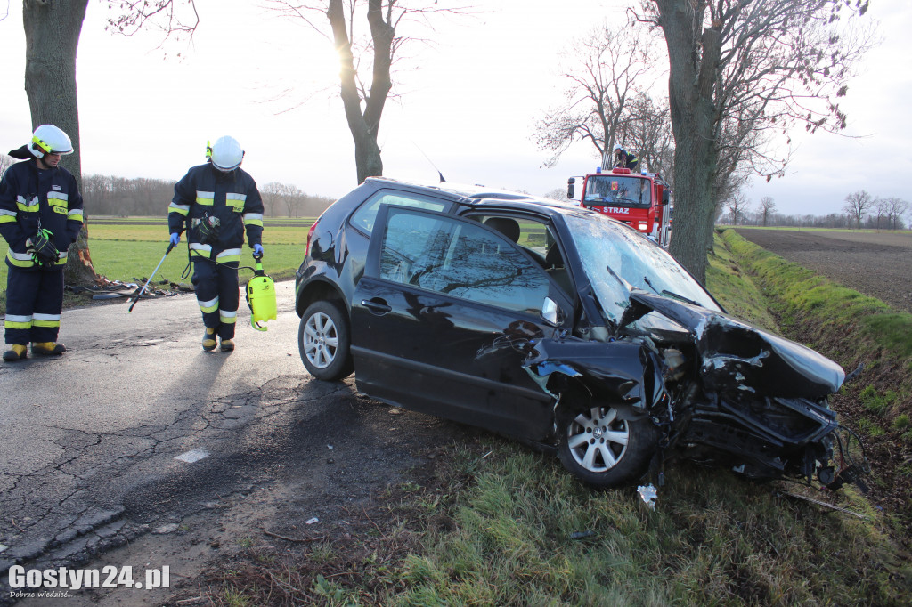 Auto uderzyło w drzewo na trasie Pępowo-Siedlec