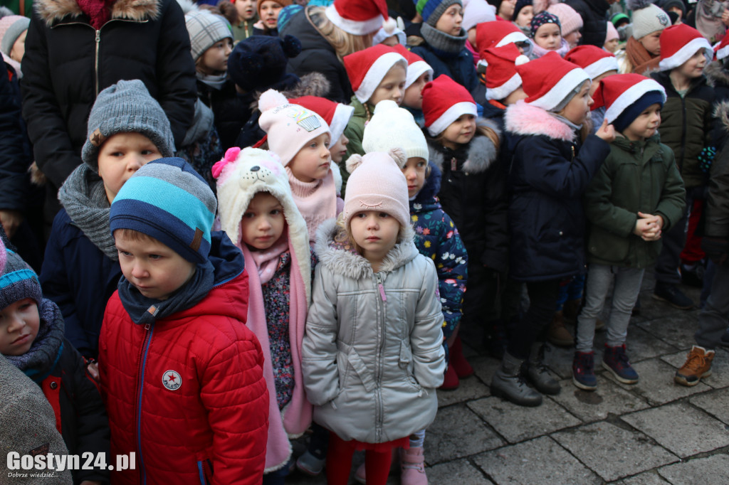 Ubieranie choinki na ponieckim rynku