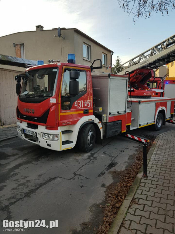 Strażacy ratowali kota z drzewa