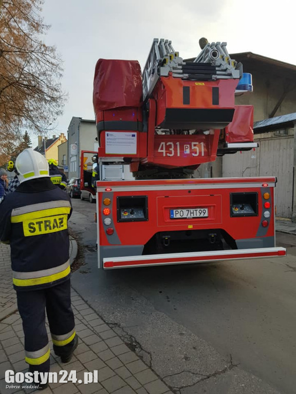 Strażacy ratowali kota z drzewa