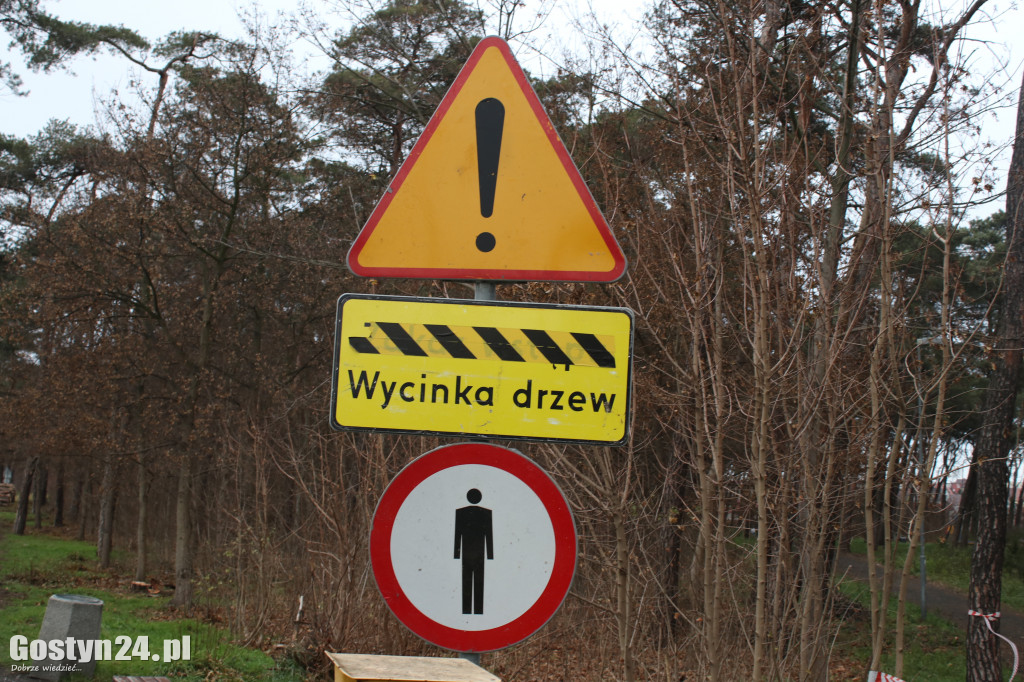 Wycinka drzew w lasku przy gostyńskiej hucie