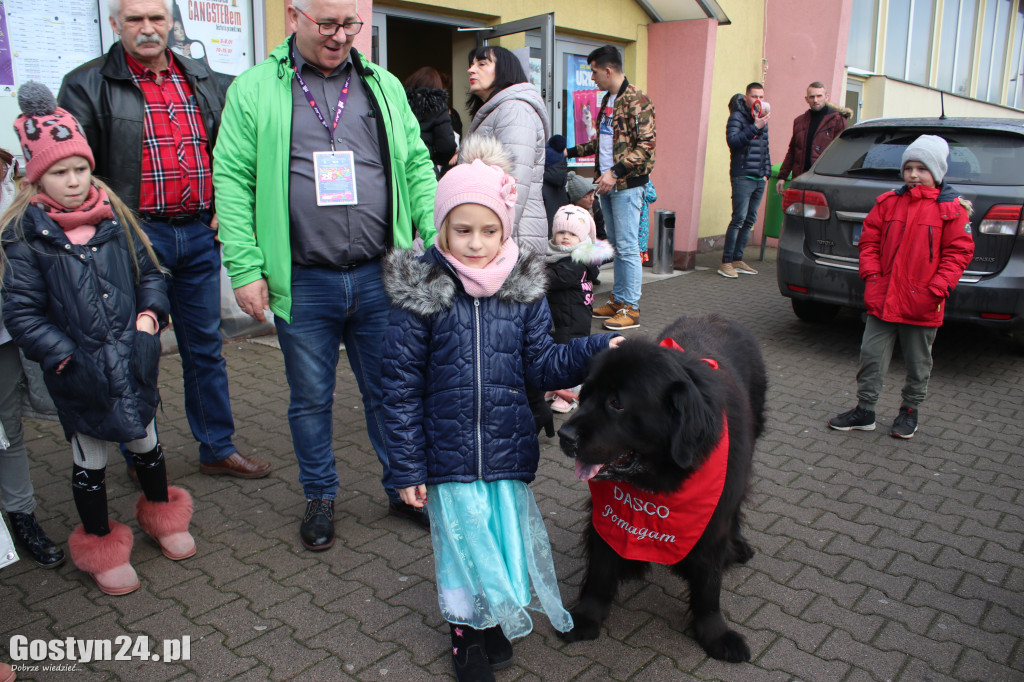 Pierwszy dzień WOŚP w powiecie gostyńskim