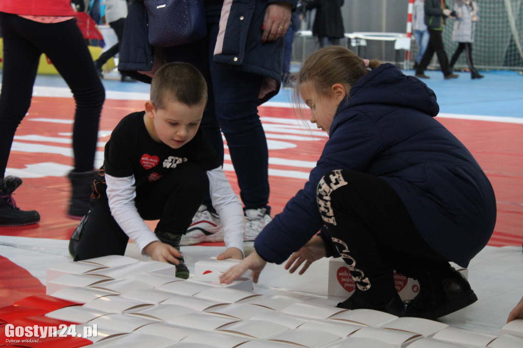 28. finał WOŚP w regionie gostyńskim