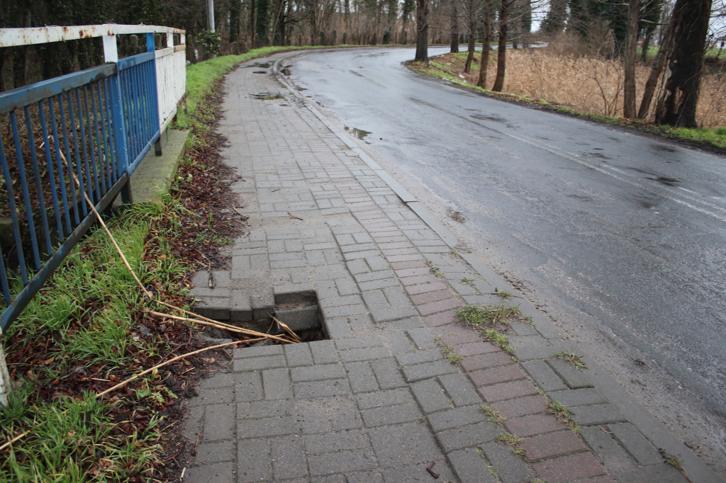 Bobry zaatakowały drogę w Dzięczynie?