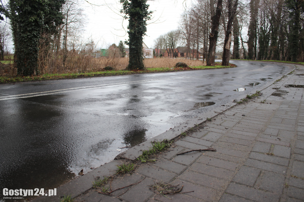 Bobry zaatakowały drogę w Dzięczynie?