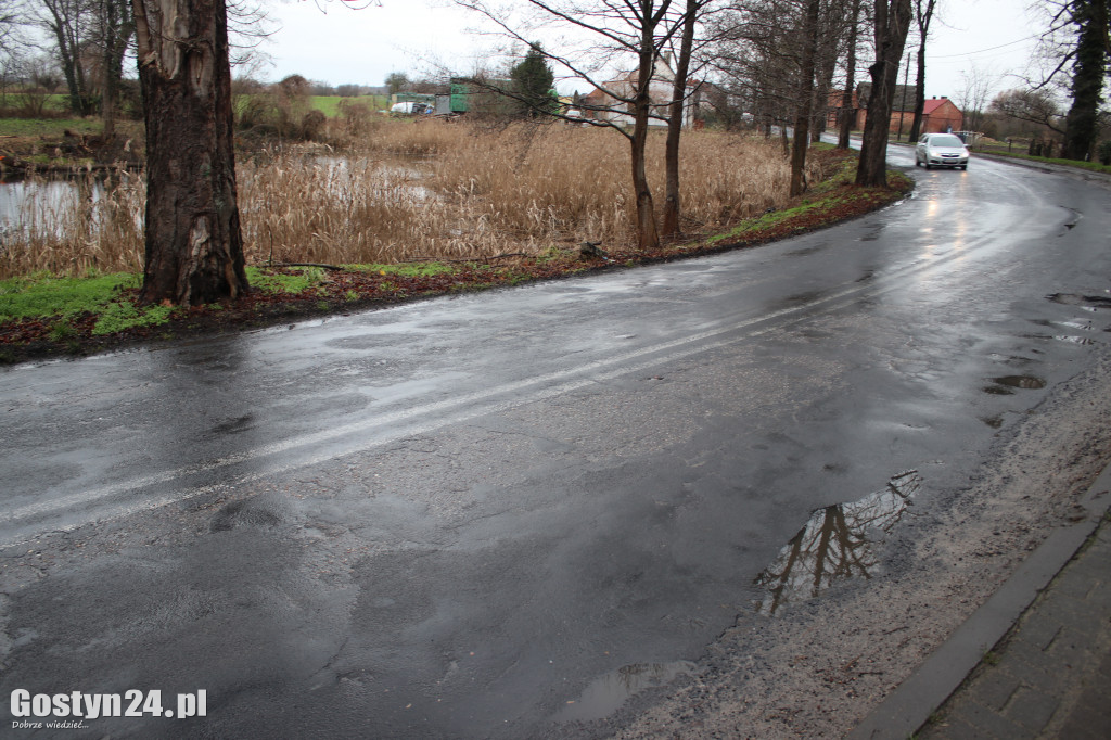 Bobry zaatakowały drogę w Dzięczynie?