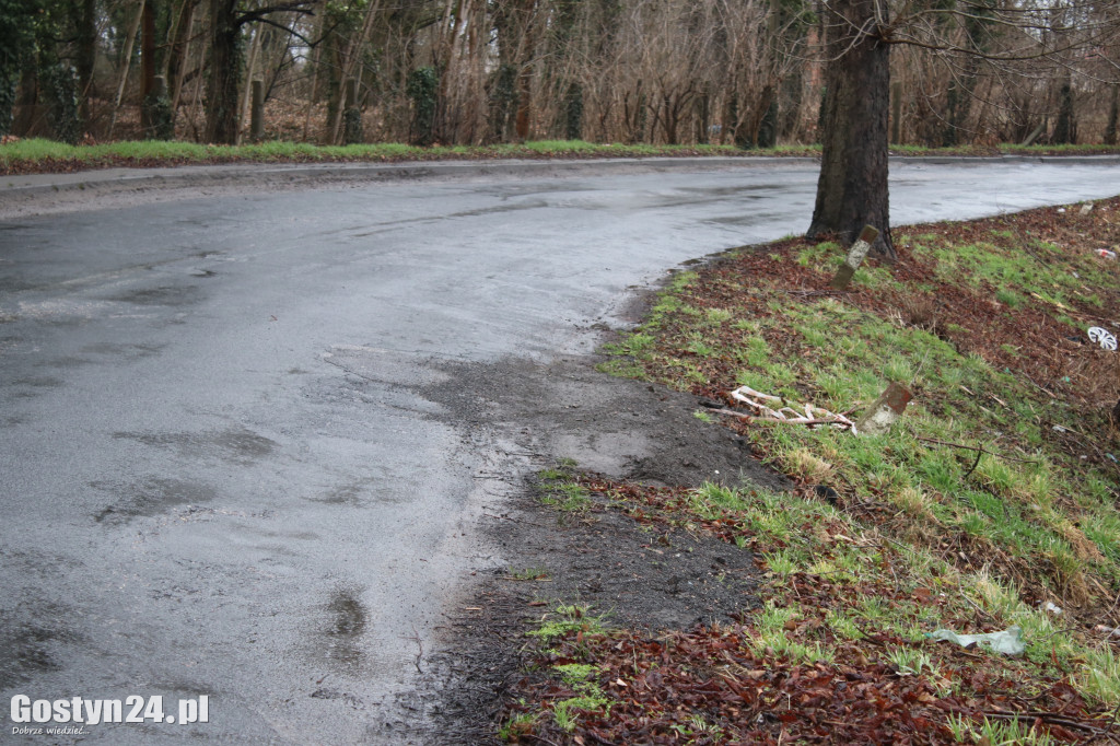 Bobry zaatakowały drogę w Dzięczynie?