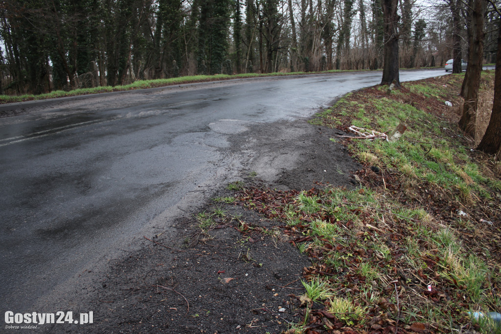 Bobry zaatakowały drogę w Dzięczynie?