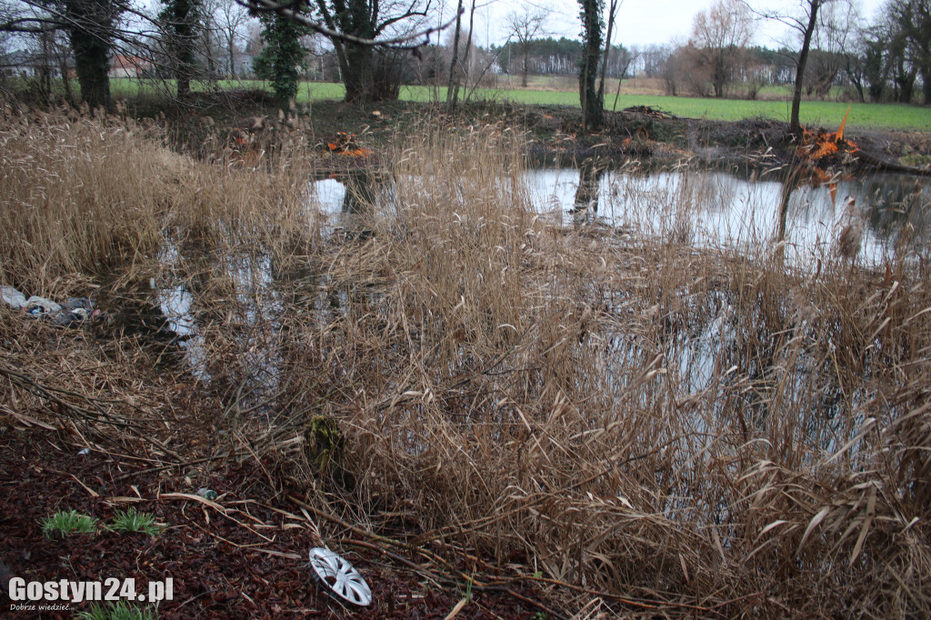 Bobry zaatakowały drogę w Dzięczynie?
