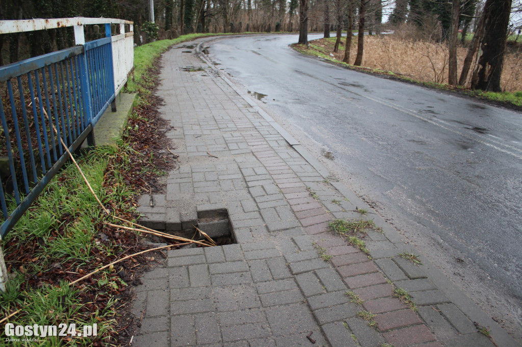 Bobry zaatakowały drogę w Dzięczynie?