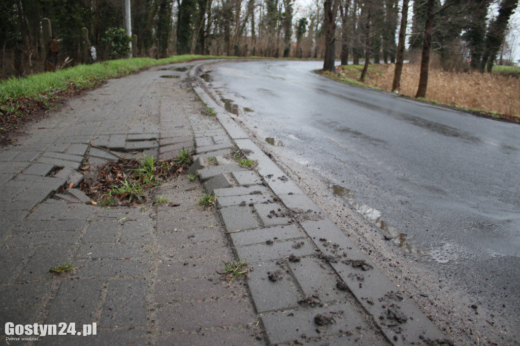 Bobry zaatakowały drogę w Dzięczynie?
