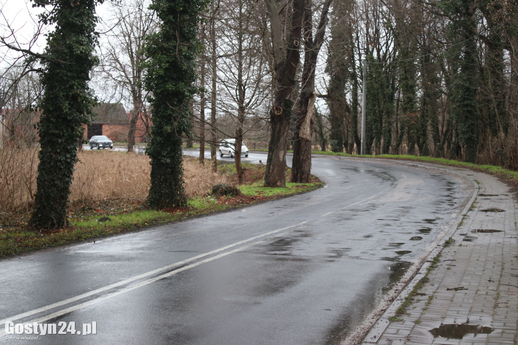 Bobry zaatakowały drogę w Dzięczynie?