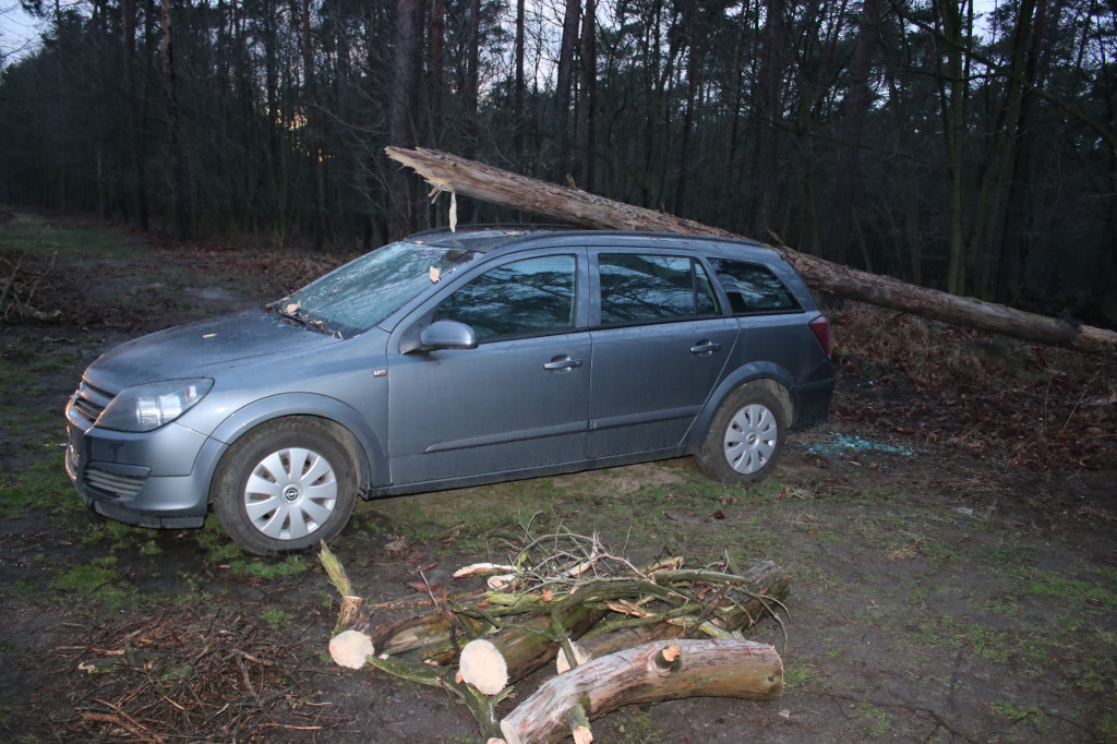 Kilka interwencji w związku z silnym wiatrem w regionie