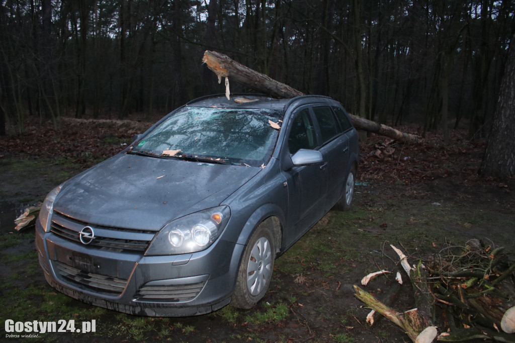 Kilka interwencji w związku z silnym wiatrem w regionie