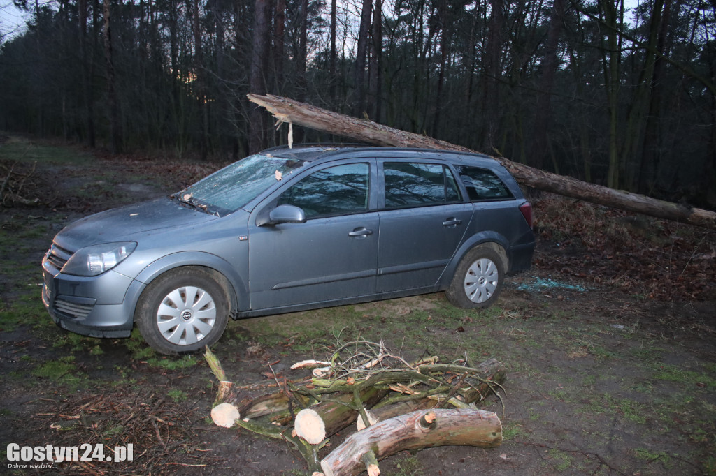 Kilka interwencji w związku z silnym wiatrem w regionie