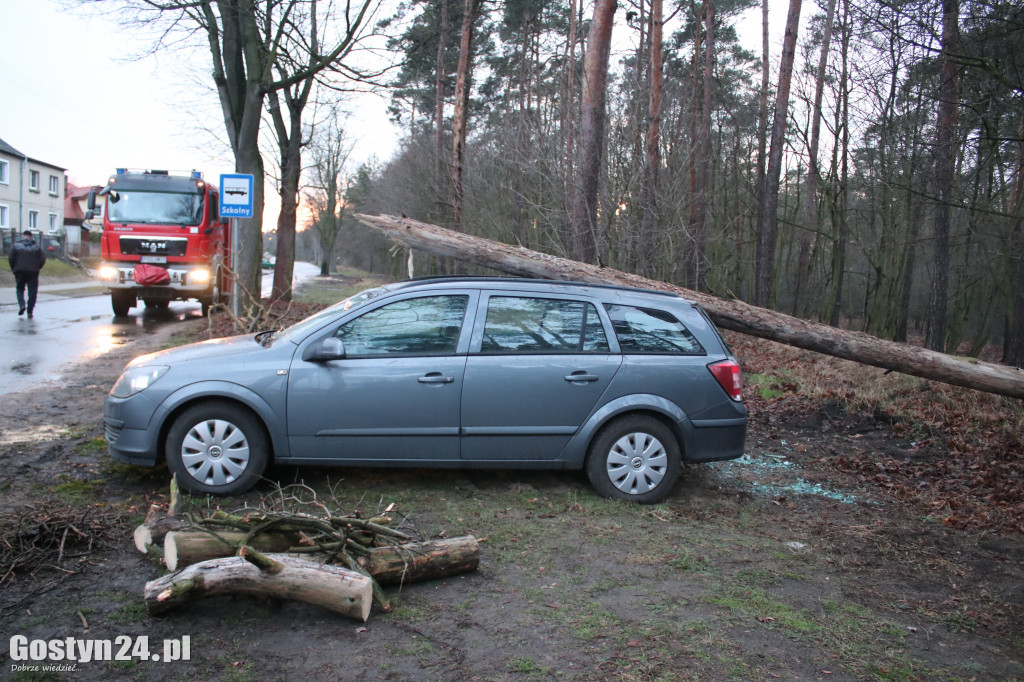 Kilka interwencji w związku z silnym wiatrem w regionie