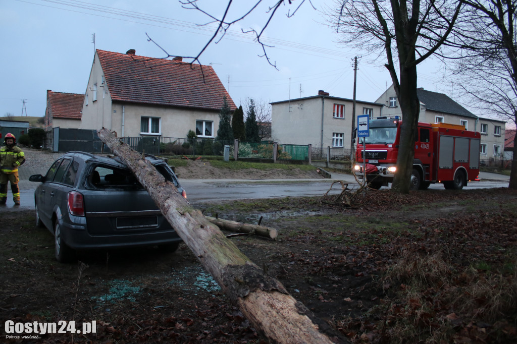 Kilka interwencji w związku z silnym wiatrem w regionie