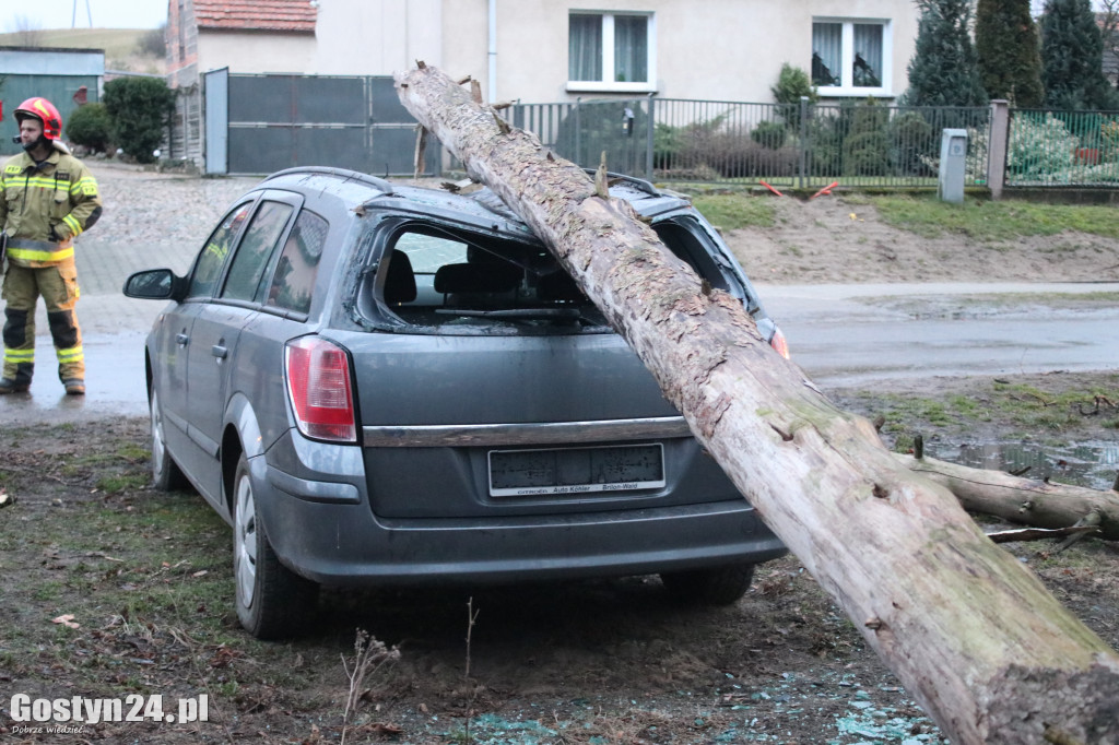 Kilka interwencji w związku z silnym wiatrem w regionie