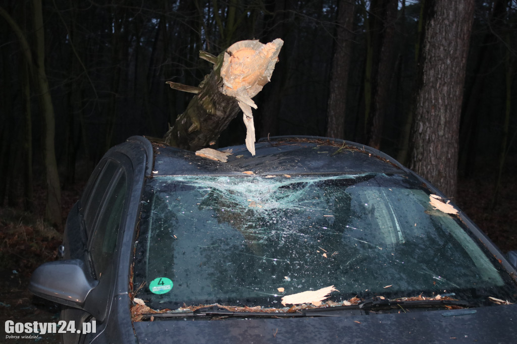 Kilka interwencji w związku z silnym wiatrem w regionie