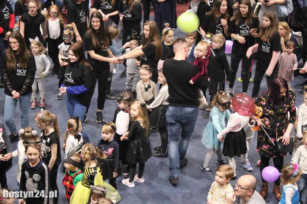 Koci Balik w gostyńskim Hutniku