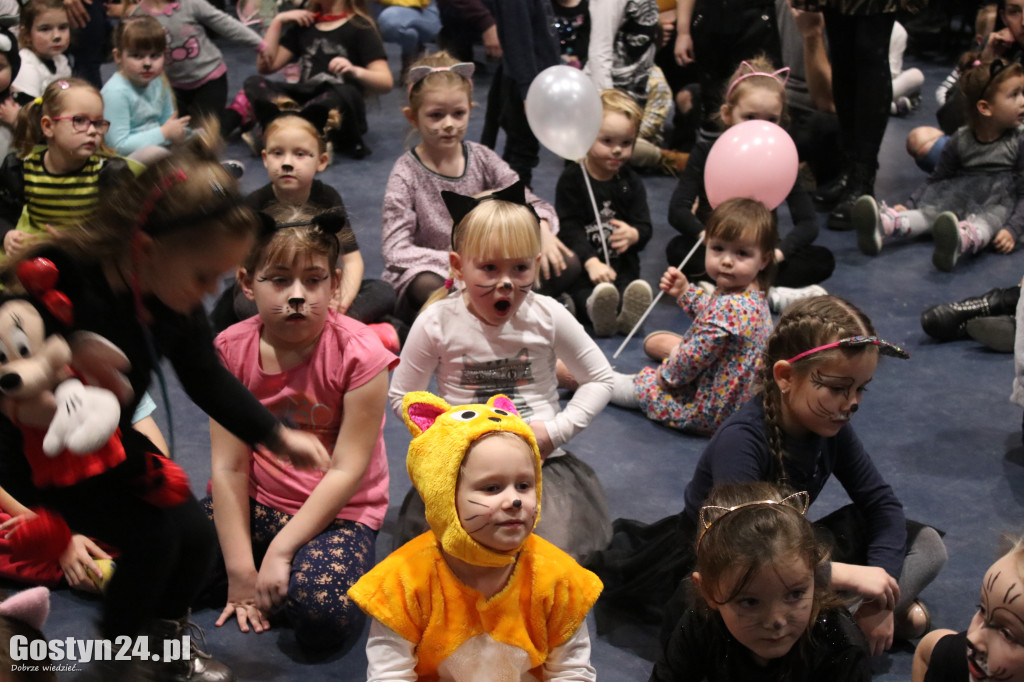Koci Balik w gostyńskim Hutniku