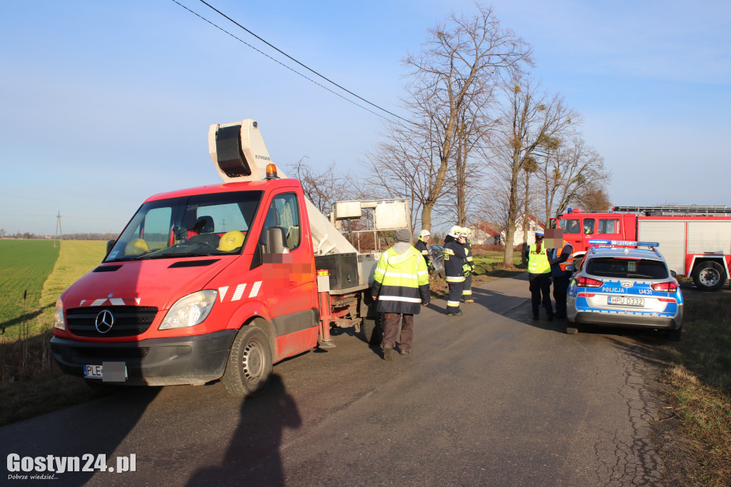 Zderzenie osobówki i podnośnika w Skoraszewicach