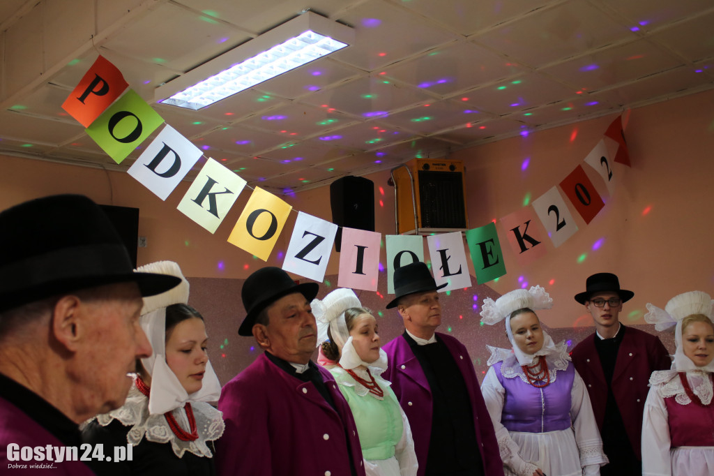 Biskupiański Podkoziołek w Domachowie