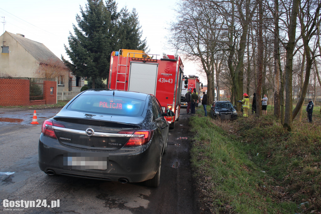 Toyota wjechała do rowu w Krajewicach
