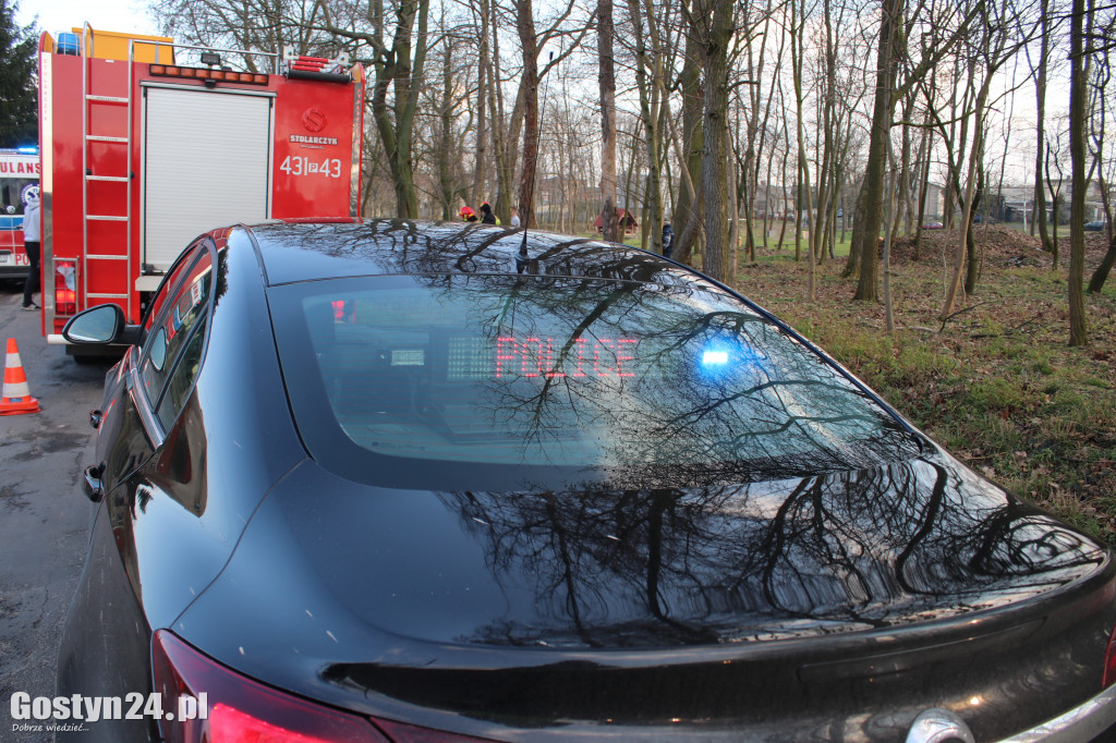 Toyota wjechała do rowu w Krajewicach