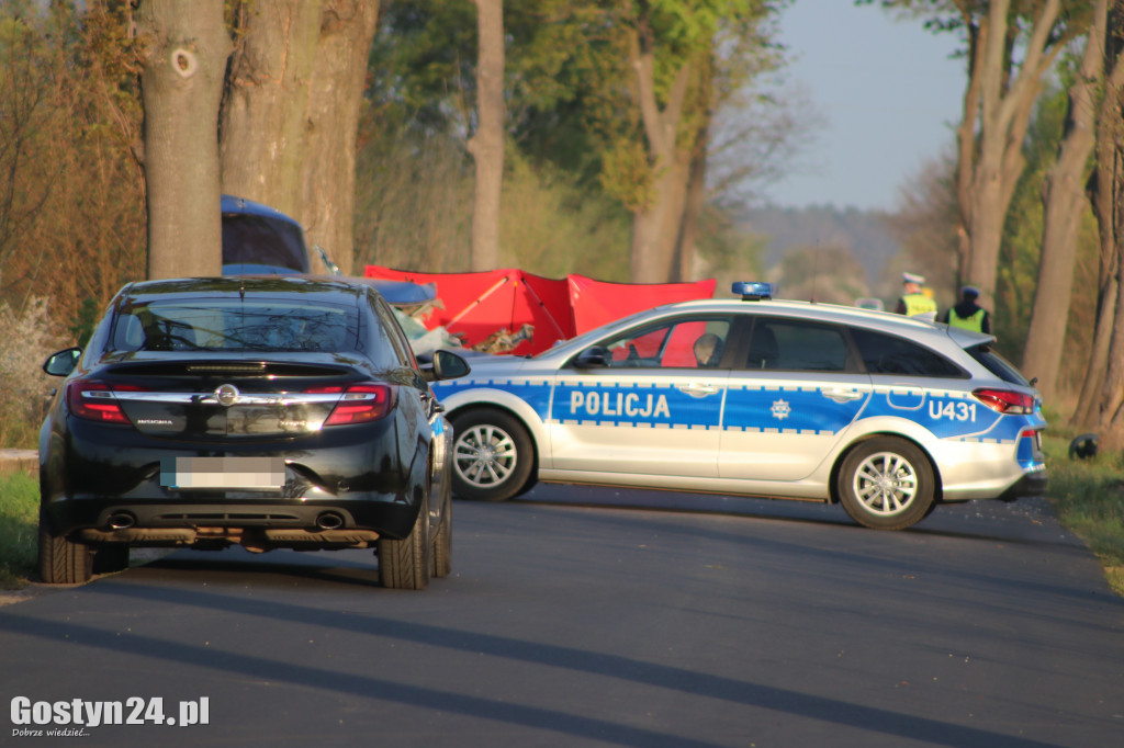 Śmiertelny wypadek na trasie Skoraszewice-Gogolewo